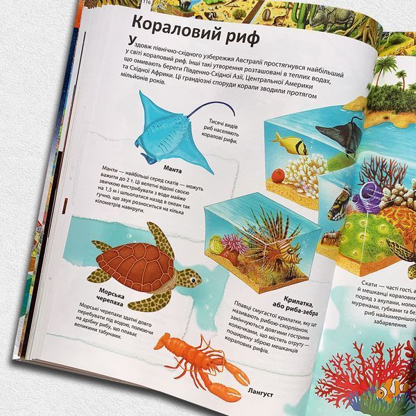 Ілюстрована енциклопедія. 1000 цікавих фактів 1311639 фото