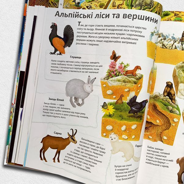 Ілюстрована енциклопедія. 1000 цікавих фактів 1311639 фото