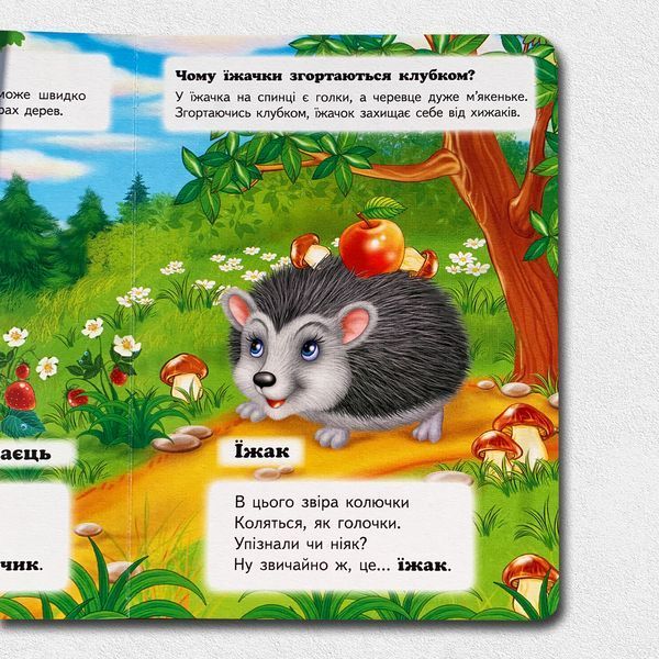 Хто це? В лісі. Запитання та відповіді 1811668 фото