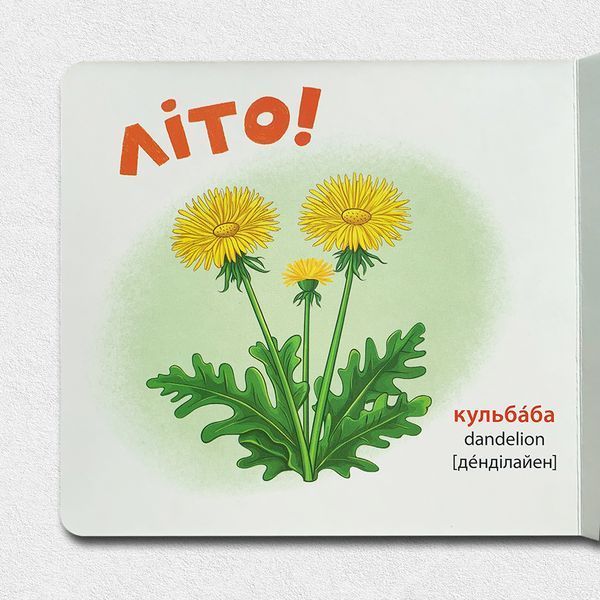 Комплект книг (11 шт). Розглядайка-розвивайка 1811771 фото