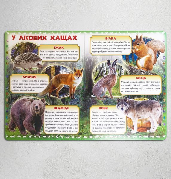 Моя перша книга. Про диких тварин 1311752 фото