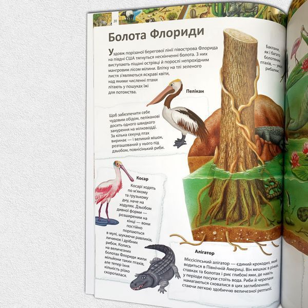 ​Дитяча енциклопедія у запитаннях і відповідях. Дивовижний світ тварин 1311624 фото