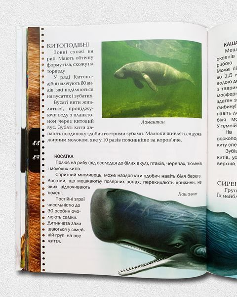 Тварини. Енциклопедія для допитливих 1811579 фото