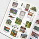 English for kids. Книжка англійських слів у малюнках 1511181 фото 6