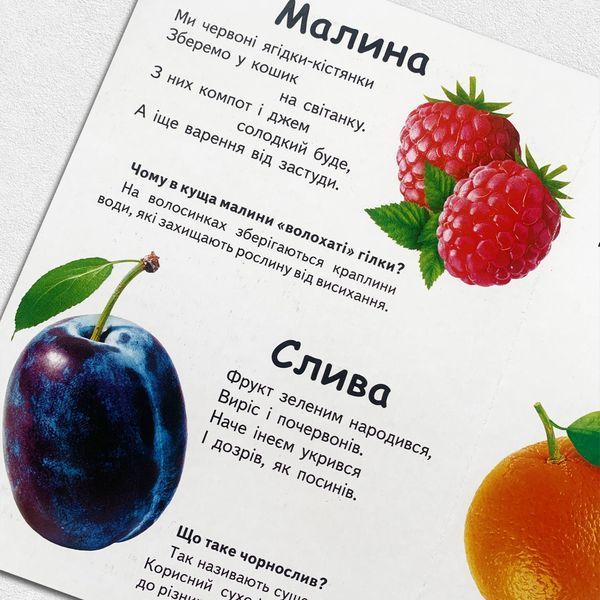 Що це? Овочі, фрукти та ягоди 1311996 фото
