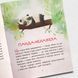 Коала-сонько. Читаємо 10 хвилин. Казки-хвилинки. ІІ рівень складності 1811685 фото 5