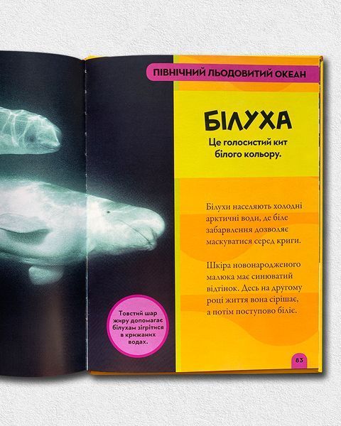 National Geographic. Моя перша енциклопедія. Океани 1811641 фото
