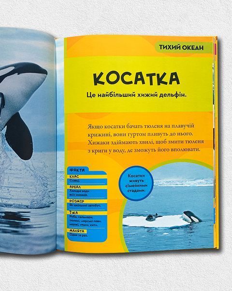 National Geographic. Моя перша енциклопедія. Океани 1811641 фото