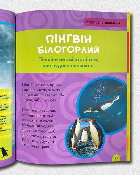Моя перша енциклопедія. Птахи. National Geographic Kids 1811647 фото Моя перша енциклопедія. Птахи. National Geographic Kids 1811647 фото