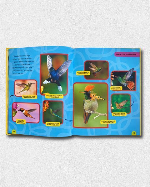 Моя перша енциклопедія. Птахи. National Geographic Kids 1811647 фото Моя перша енциклопедія. Птахи. National Geographic Kids 1811647 фото