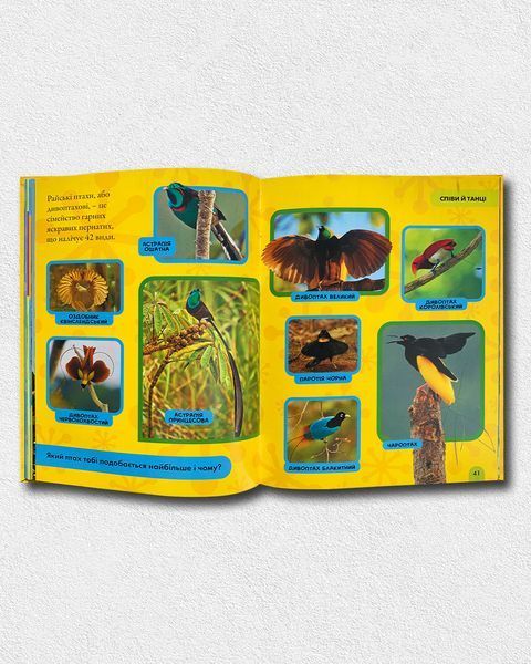 Моя перша енциклопедія. Птахи. National Geographic Kids 1811647 фото Моя перша енциклопедія. Птахи. National Geographic Kids 1811647 фото