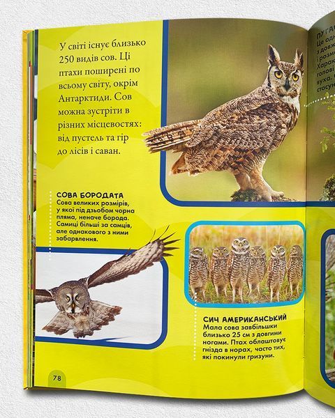 Моя перша енциклопедія. Птахи. National Geographic Kids 1811647 фото Моя перша енциклопедія. Птахи. National Geographic Kids 1811647 фото