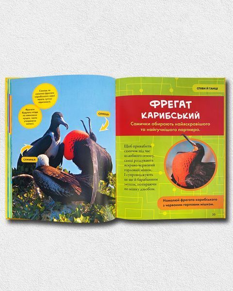 Моя перша енциклопедія. Птахи. National Geographic Kids 1811647 фото Моя перша енциклопедія. Птахи. National Geographic Kids 1811647 фото
