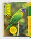 Моя перша енциклопедія. Птахи. National Geographic Kids 1811647 фото 3