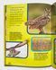 Моя перша енциклопедія. Птахи. National Geographic Kids 1811647 фото 8