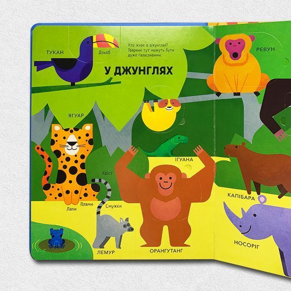 Моя перша книга з віконцями. Тварини 1811798 фото