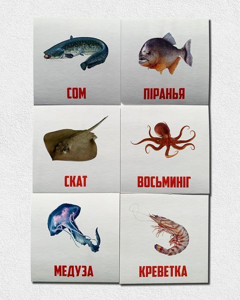 Картки за методикою Глен Домана. Водний світ. 70 шт 1811657 фото