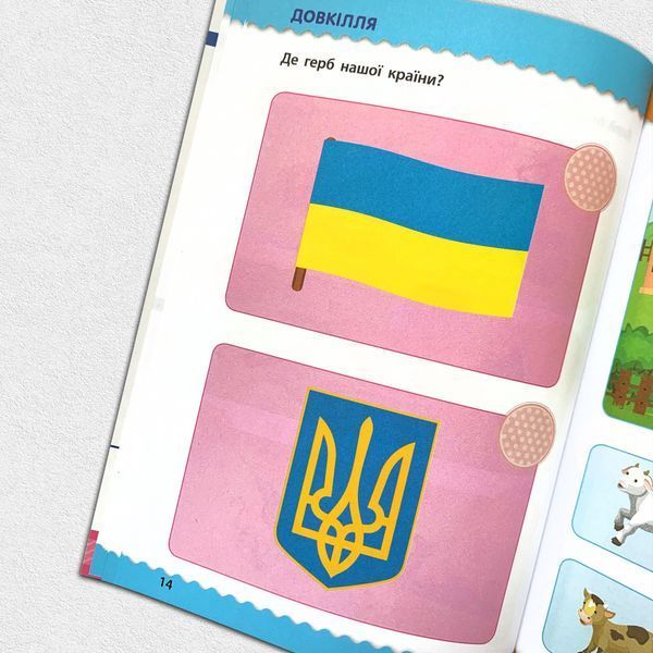​Навчалочка. Тести з наліпками 5-6 рочків 1311776 фото